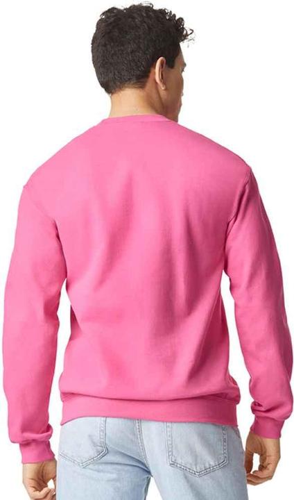 Image du produit Gildan - Sweat SOFT STYLE - Homme (M)