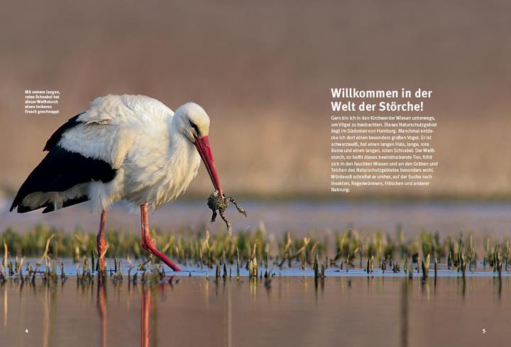 Immagine prodotto Entdecke die Störche (Tedesco, Thomas Schmidt, 2016)