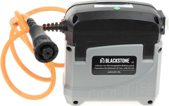 Image du produit Blackstone Sécateur électrique pour l'élagage36 V