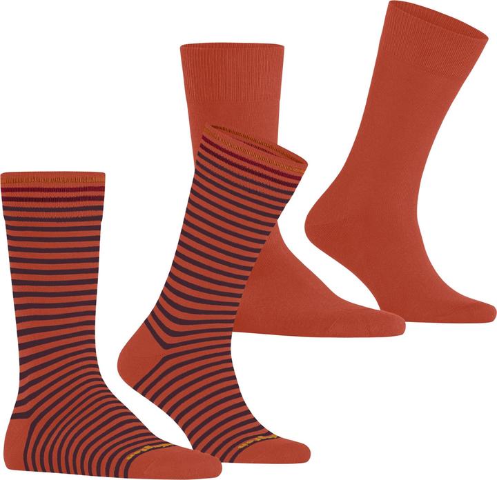 Image du produit Falke Everyday Stripe SO - Mixed 2-Pack (40 - 46)