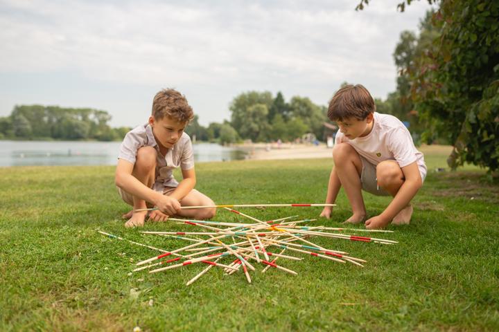 Actual product image BS Giant Stàbe (English, French, German, Italian, 2 - 6 Players)