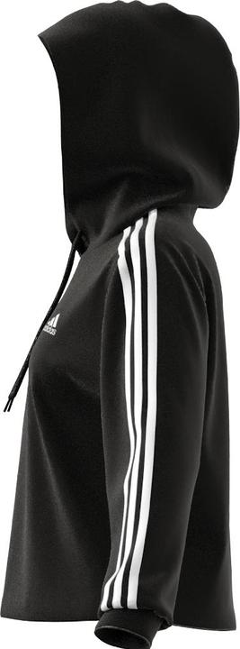 Image du produit Adidas Sweat à capuche femme 3-Stripes FT CR (L)