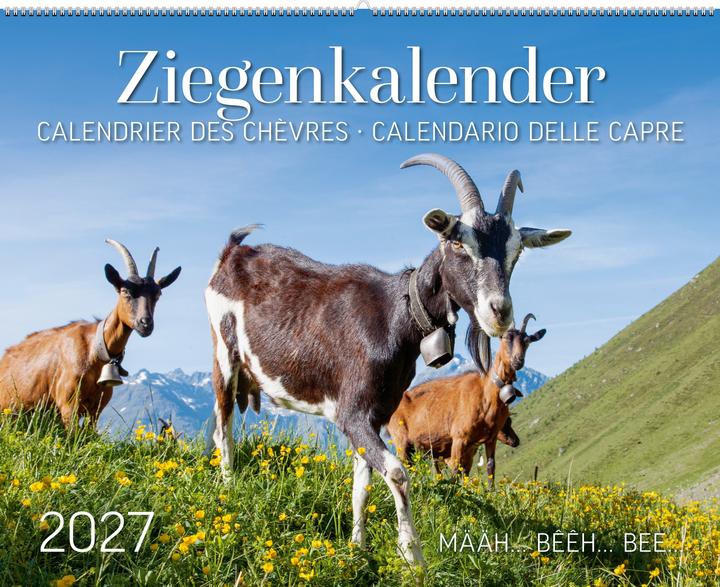 Produktbild Ziegenkalender Määh … Bêêh … Bee... 2027