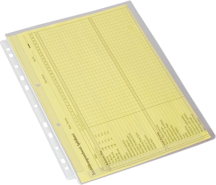 Immagine prodotto Eichner 10 Copridocumenti trasparente (A4, 10 x)