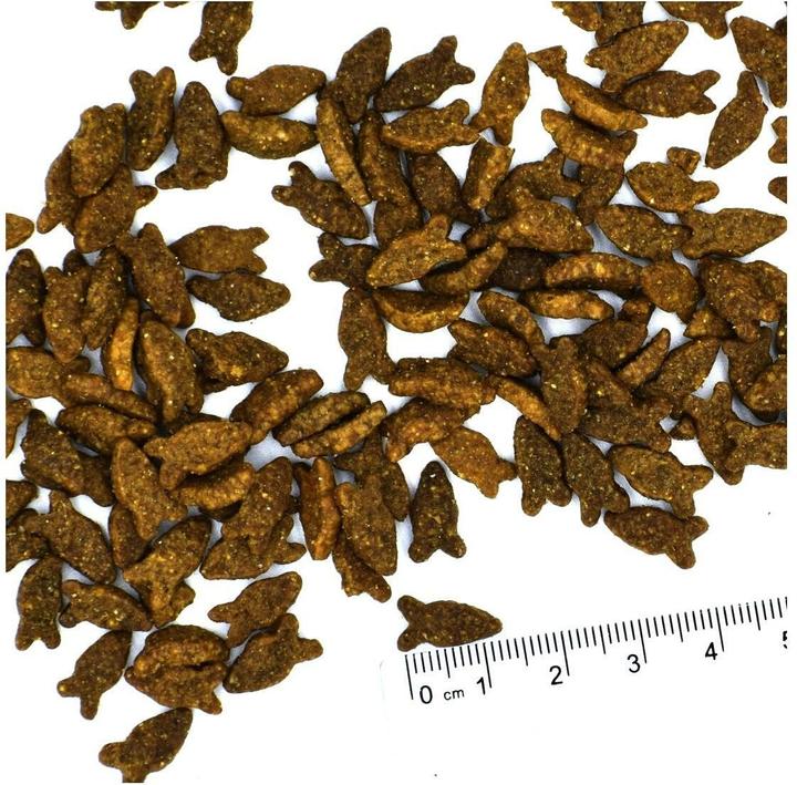 Produktbild Monge Speciality Line Adult Lachs (Adult, 1 Stk., 10000 g)