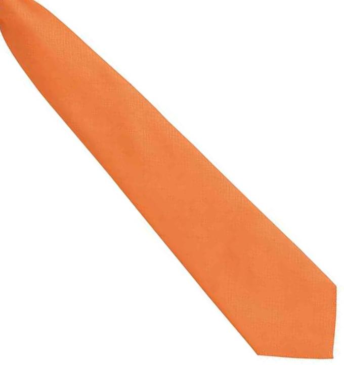 Actual product image Premier Unisex Adult Colours Fashion Plain Clip-On Tie