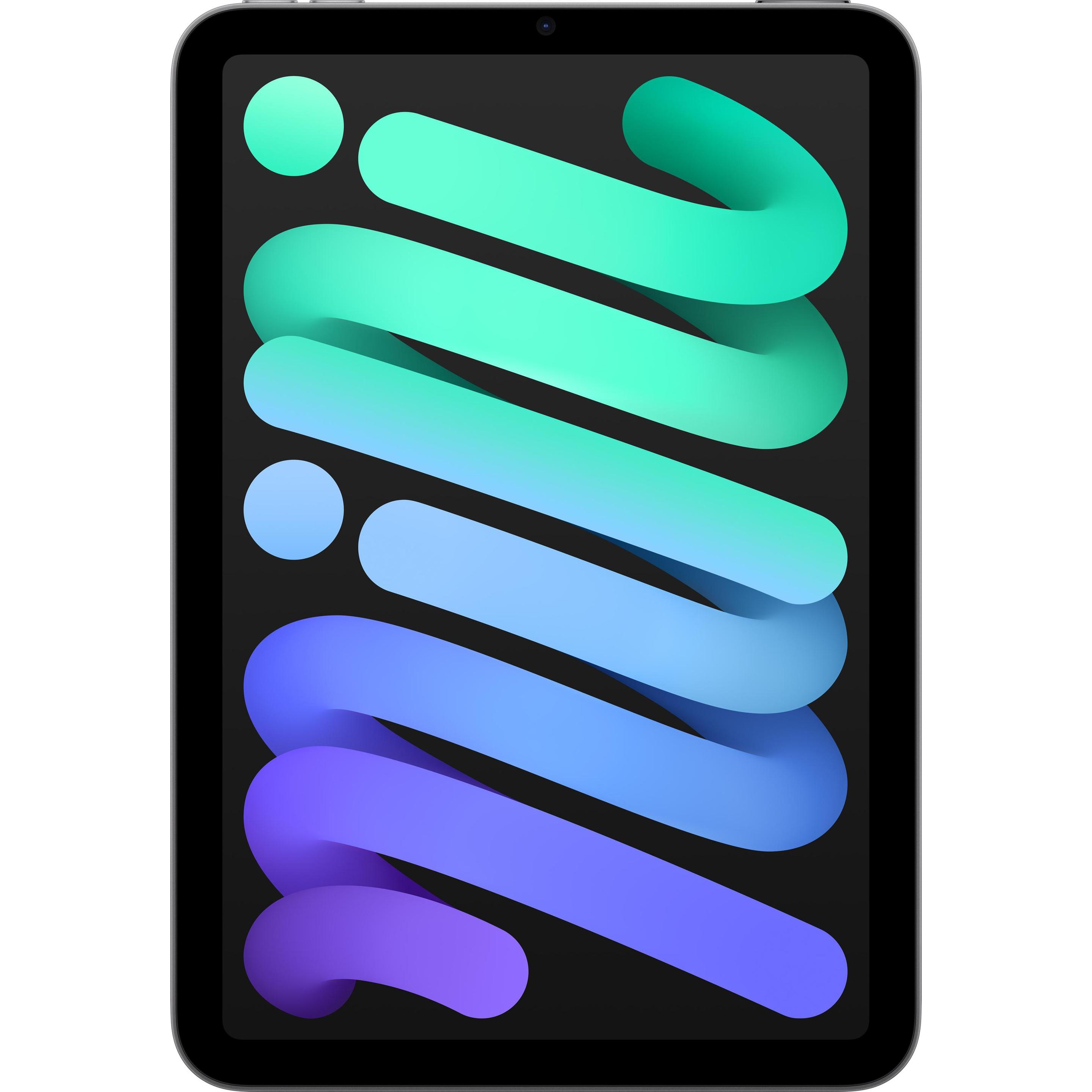 Ape Snacks iPad mini (nur WLAN, 8.30, 128 GB, Grey) (MXN63LL/A)