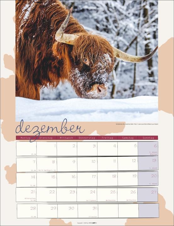 Produktbild Kuh Kalender 2026 (30 x 39 cm)