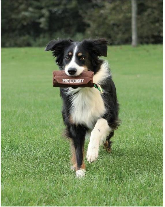 Produktbild Trixie Preydummy (Apportieren, Wurfspielzeug Hund)