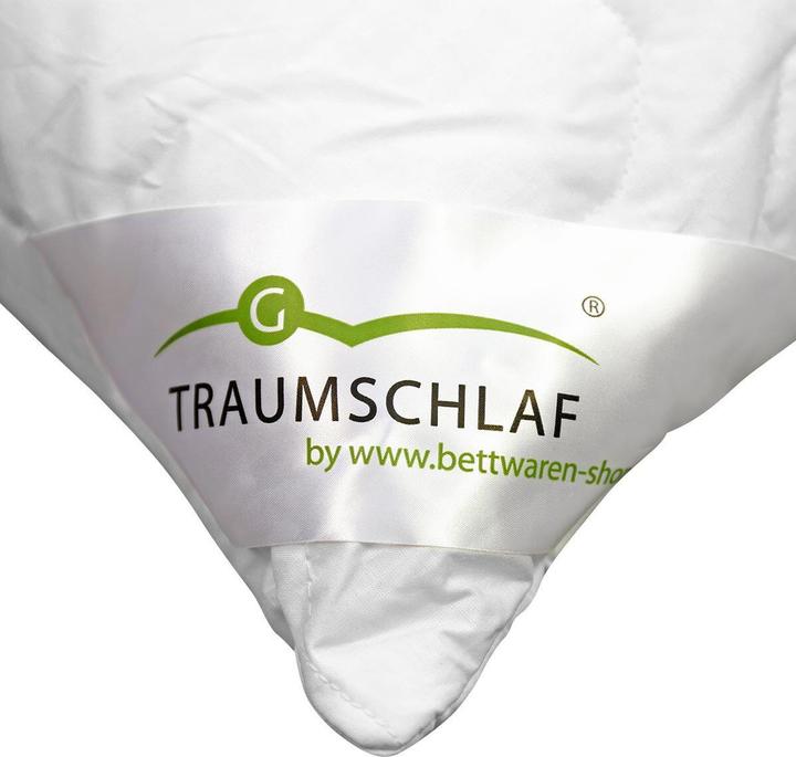 Produktbild Traumschlaf Thinsulate Lagenkissen (80x80 cm)