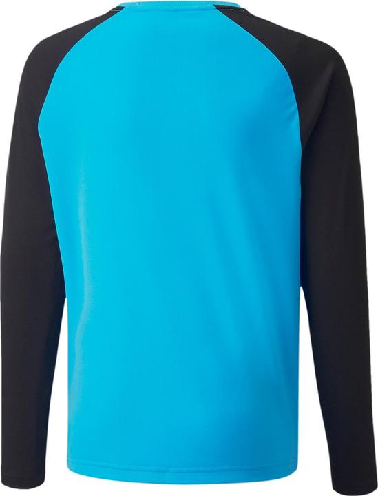 Actual product image Puma teamPACER GK LS Jersey Jr-704939 (140)