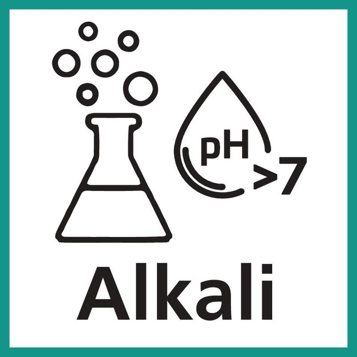 Image du produit Neriox Pulvérisateur à pression Alkali (1.20 l)
