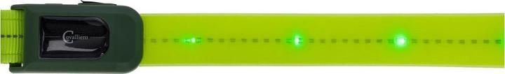 Image du produit Kerbl Vorderzeug LED