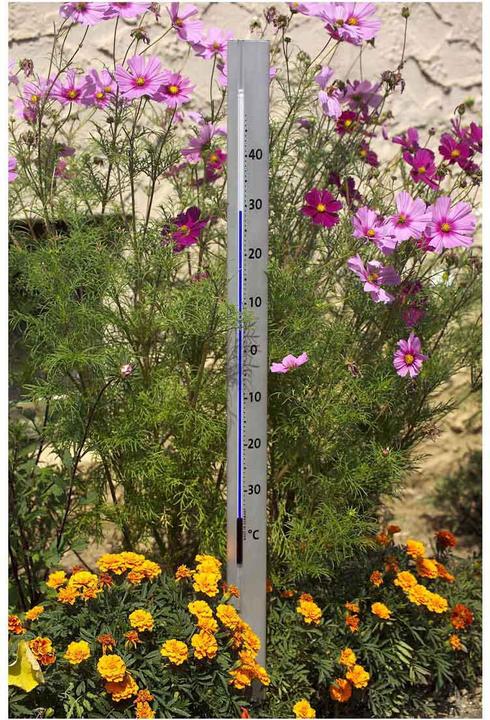 Actual product image TFA Central Park