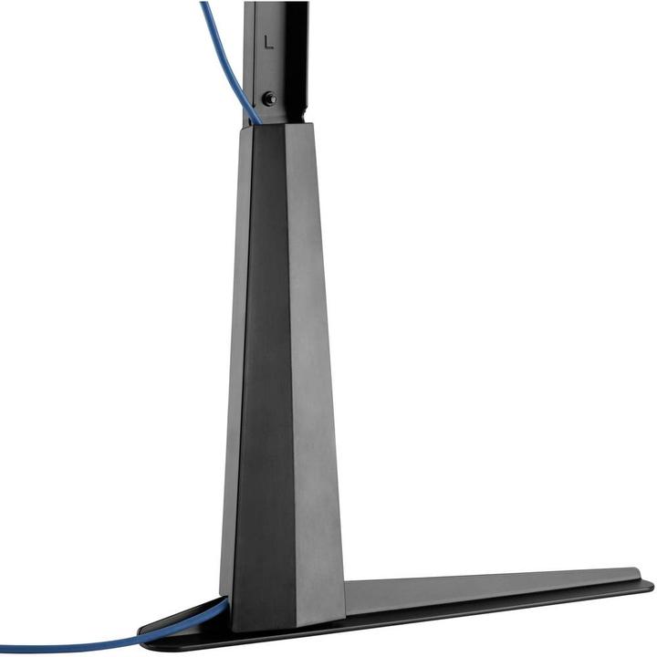 Image du produit myWall HP39L (50 kg, 37" - 70")