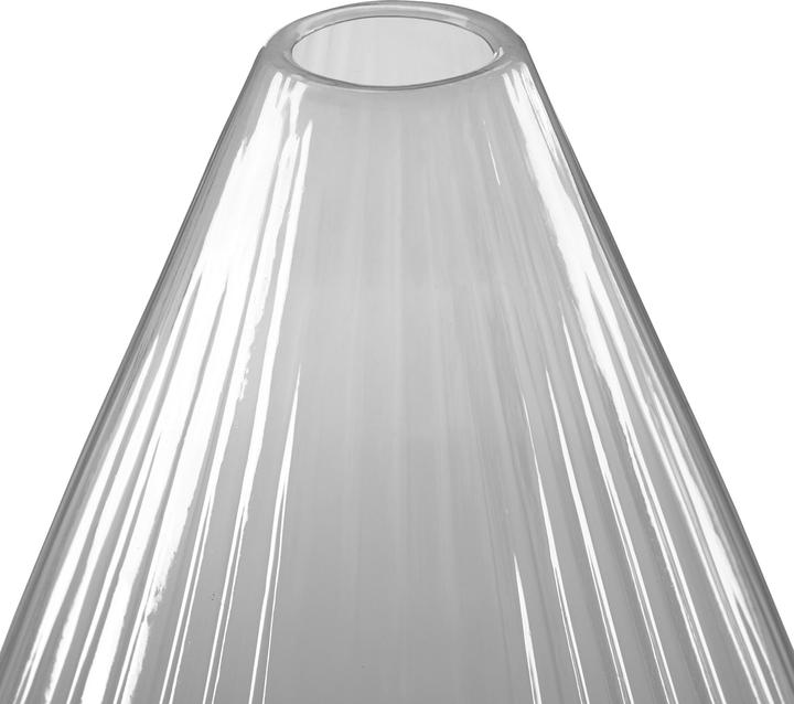 Produktbild Relaxdays 10x Pflanzenhut