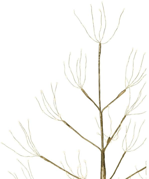 Produktbild STT Champagne Baum