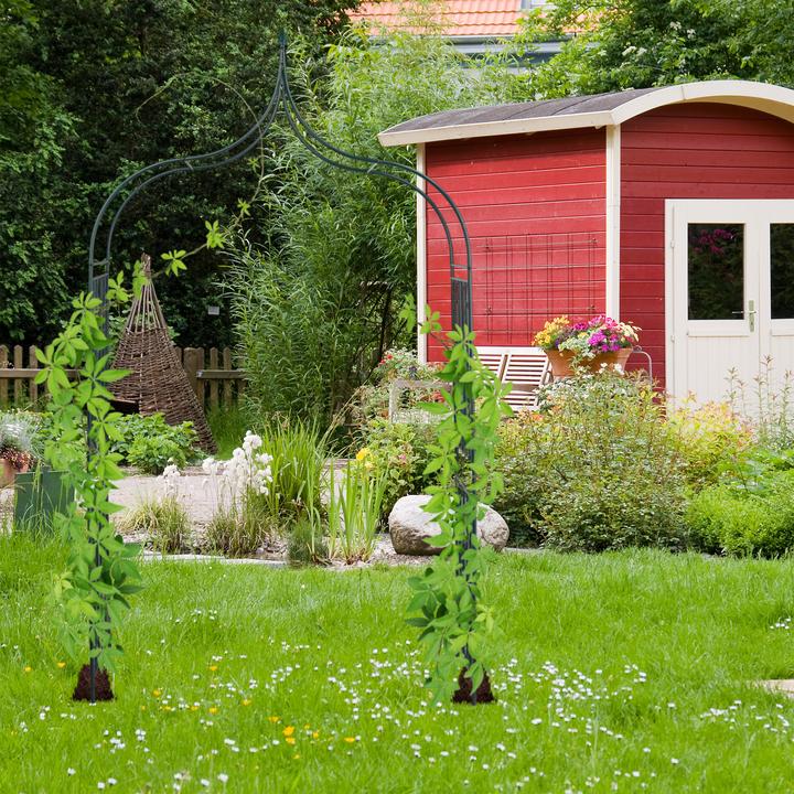 Produktbild Relaxdays Rosenbogen (60 cm, 144 cm)