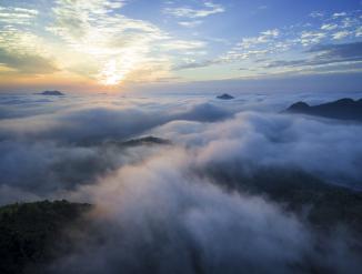 Actual product image Venus Optic Fixed focal length 10 mm F/2 Zero-D (Micro Four Thirds, Micro Four Thirds)