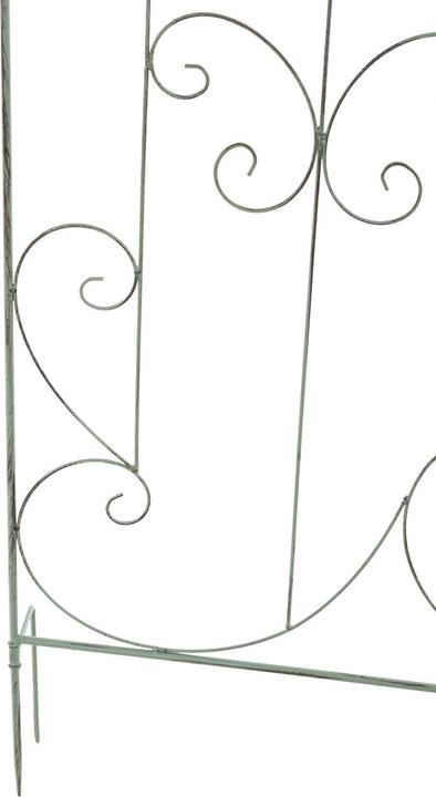 Actual product image CLP Trellis Mandevilla, antique green (1 cm, 99 cm)