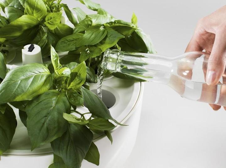 Produktbild Plantui Smart Garden 6 (29 cm)