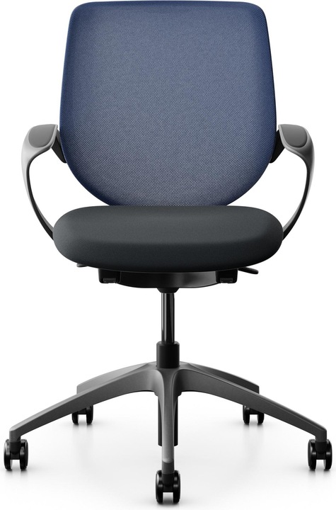 Actual product image Giroflex Netzrücken mit Armlehnen 313