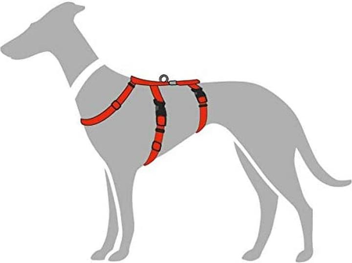Immagine prodotto Hunter Imbracatura di sicurezza Vario Rapid (M, Cane, Generale, Passeggiare)