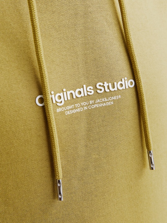 Image du produit Jack & Jones Imprimé Sweat à capuche Sweat à capuche (S)
