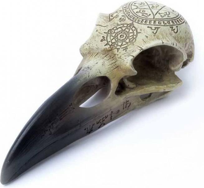 Actual product image Horror-Shop Alchemy Gothic Omega Raven Skull