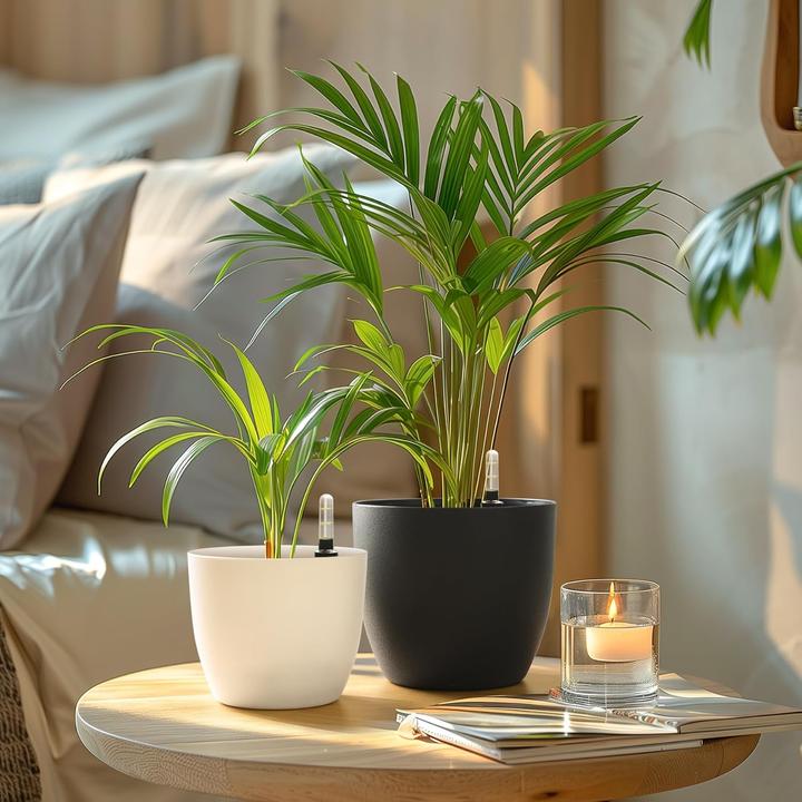 Produktbild T4U Selbstwässernder Blumentopf