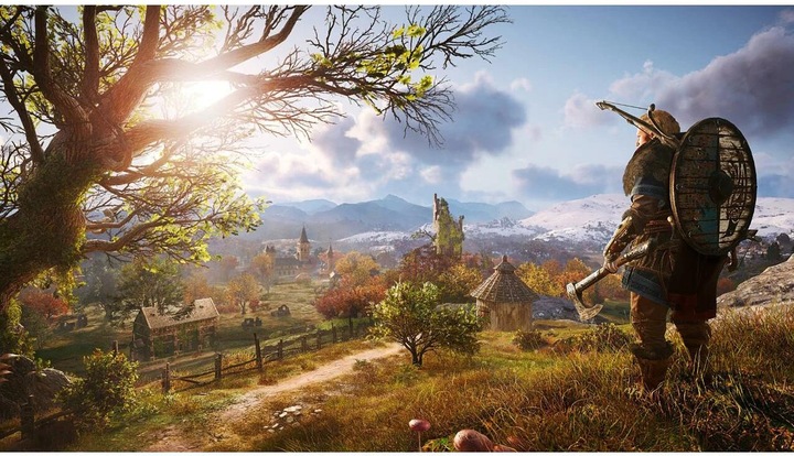 Actual product image Ubisoft Assassin's Creed Valhalla (PS4, Multilingual)