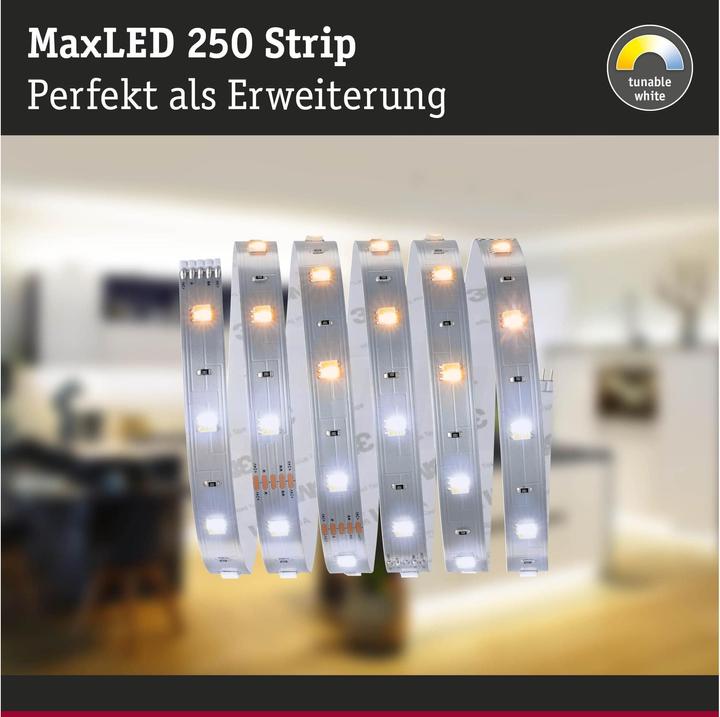 Immagine prodotto Paulmann MaxLED 250 Strisce (Bianco caldo, 100 cm, Interno)