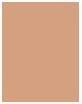 Actual product image Clarins Everlasting Foundation No.112C Amber (112C Amber)