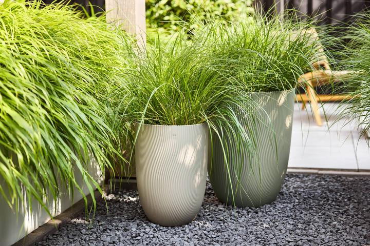 Produktbild Elho Pflanzentopf Sereh Hoch 30 cm Beige (30 x 41 cm)