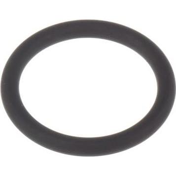 Rs Pro, Zubehör Sanitärinstallation, O-Ring Dichtung Viton BS116