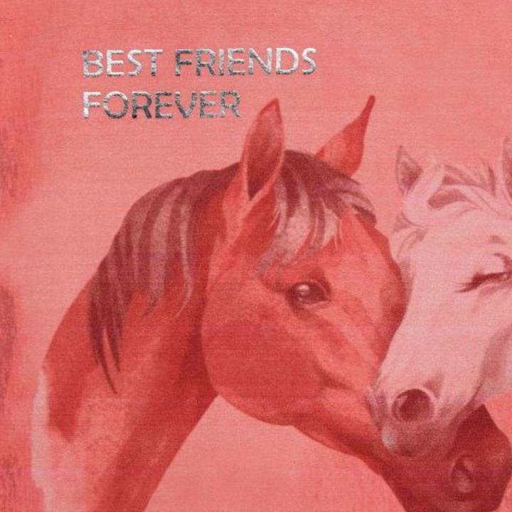 Produktbild Bondi T-Shirt Best Friends (98)