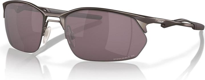 Pewter, Prizm Daily Polarized