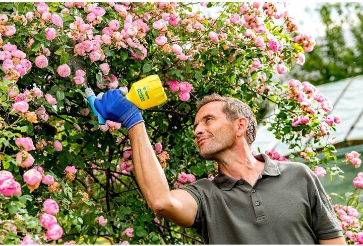 Actual product image Gloria Haus und Garten Pulvérisateur manuel Gloria Hobby 05 Flex flacon pulvérisateur de 0.5 L vaporisation sur tête (0.50 l)