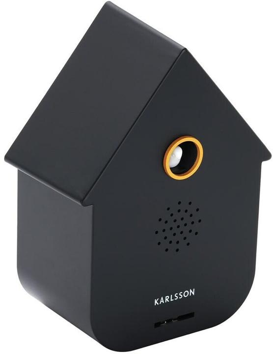 Actual product image Karlsson Sound Box Modern Cuckoo