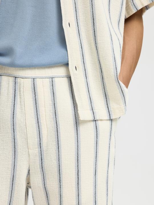 Actual product image Selected Regular Fit Shorts (XL)