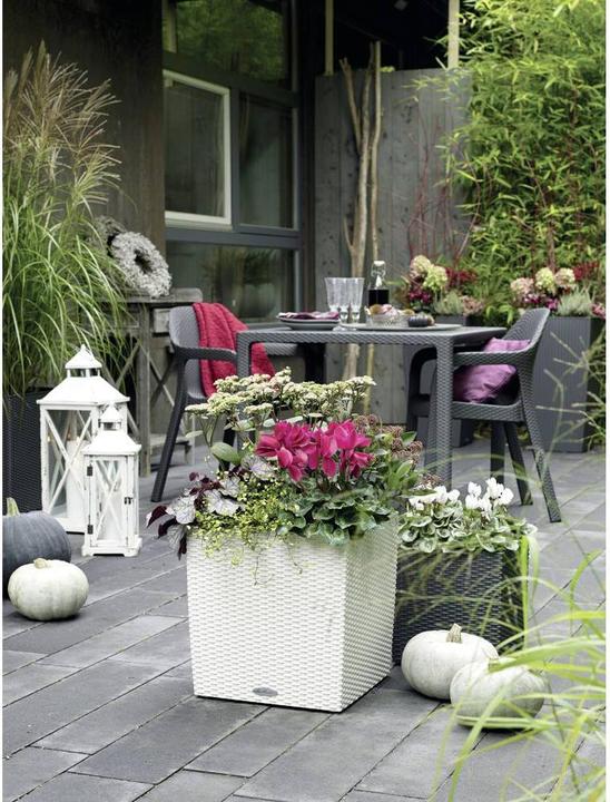 Actual product image Lechuza Cube Cottage (49 x 49 x 49.50 cm)