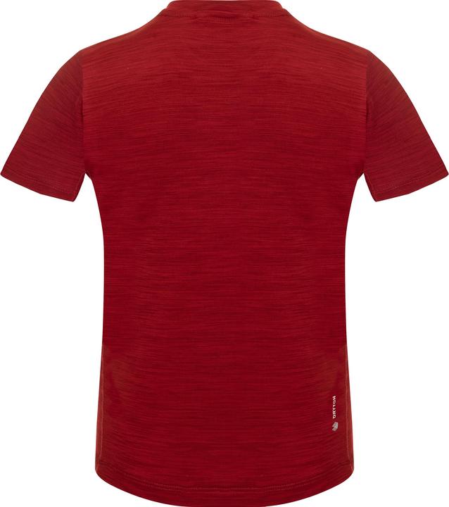 Immagine prodotto Salewa T-shirt Eagle Dry a maniche corte per bambini (152)