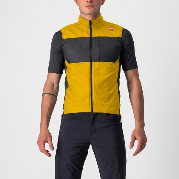 Goldenrod, Dark Gray