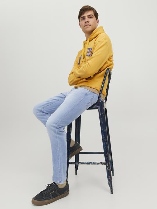 Image du produit Jack & Jones Glenn (W34/L34)