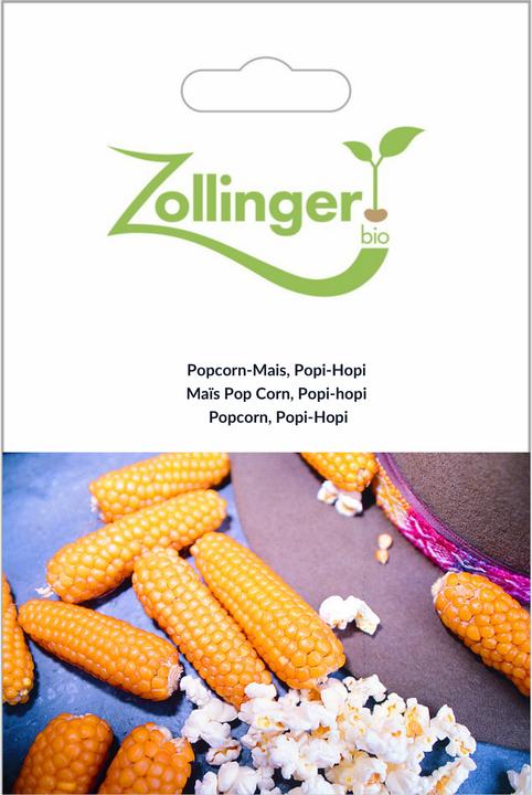 Zollinger Bio Maïs à pop-corn, Popi-Hopi (Germes)