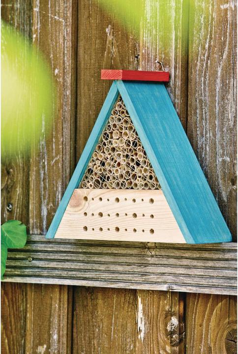 Immagine prodotto Windhager Kit di api (Api)