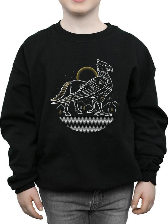 Produktbild Buckbeak Line Art Sweatshirt Jungen (140, 146)