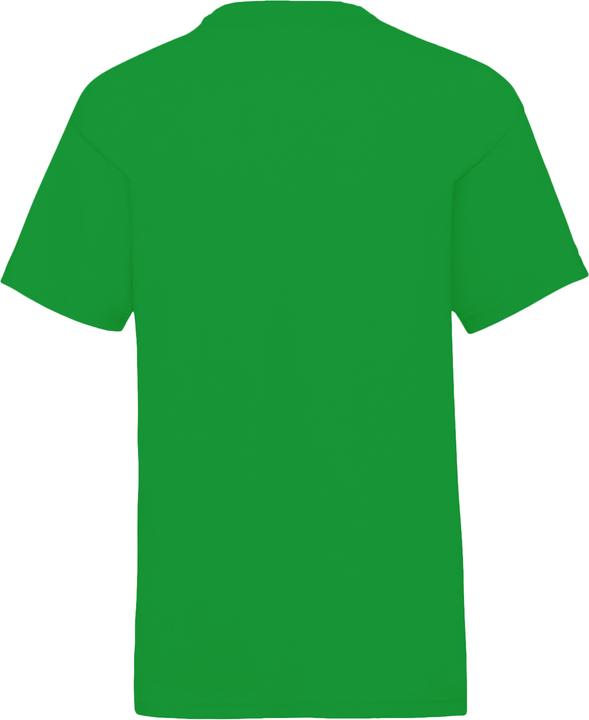 Actual product image Minecraft Tshirt (116)