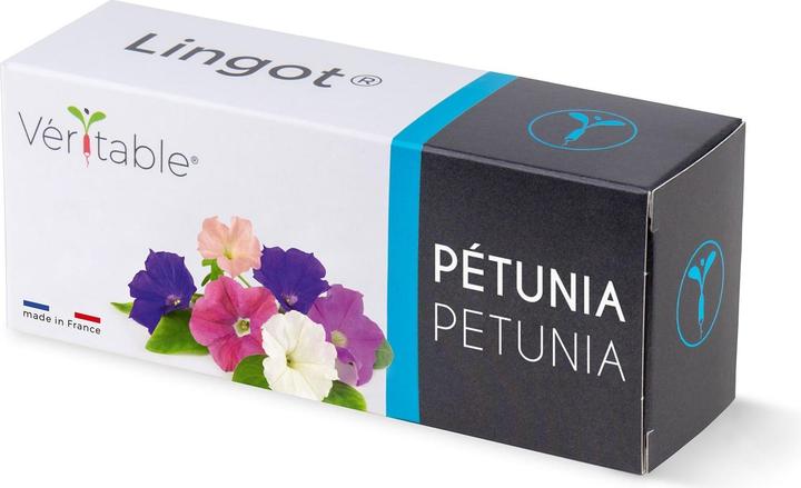 Actual product image Véritable Dwarf petunia (Herb seeds)