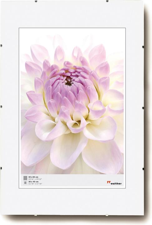 Immagine prodotto Walther Design Portafotografie senza cornice (30 x 45 cm)